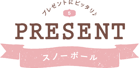 プレゼントにピッタリ♪ PRESENT スノーボール